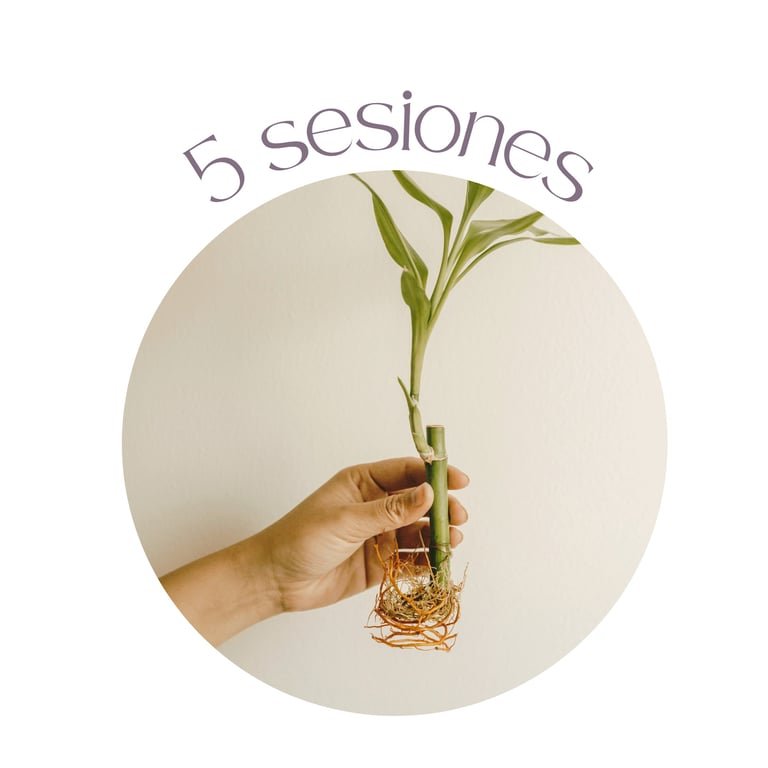 Pack de 5 sesiones de psicoeducación familiar