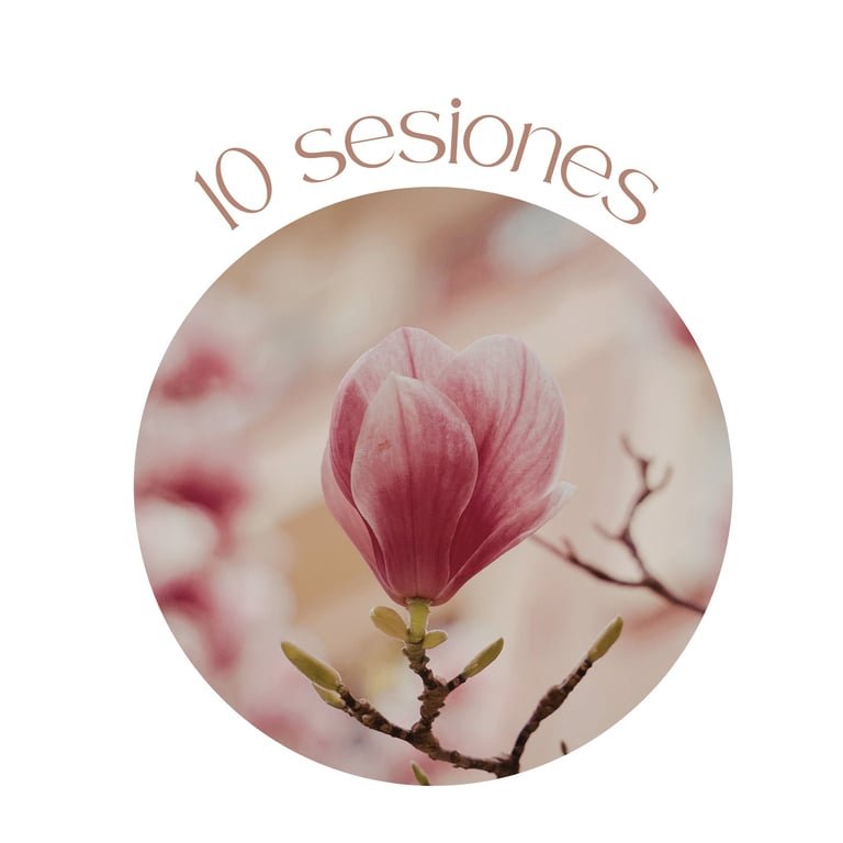 Pack de 10 sesiones de psicoeducación familiar