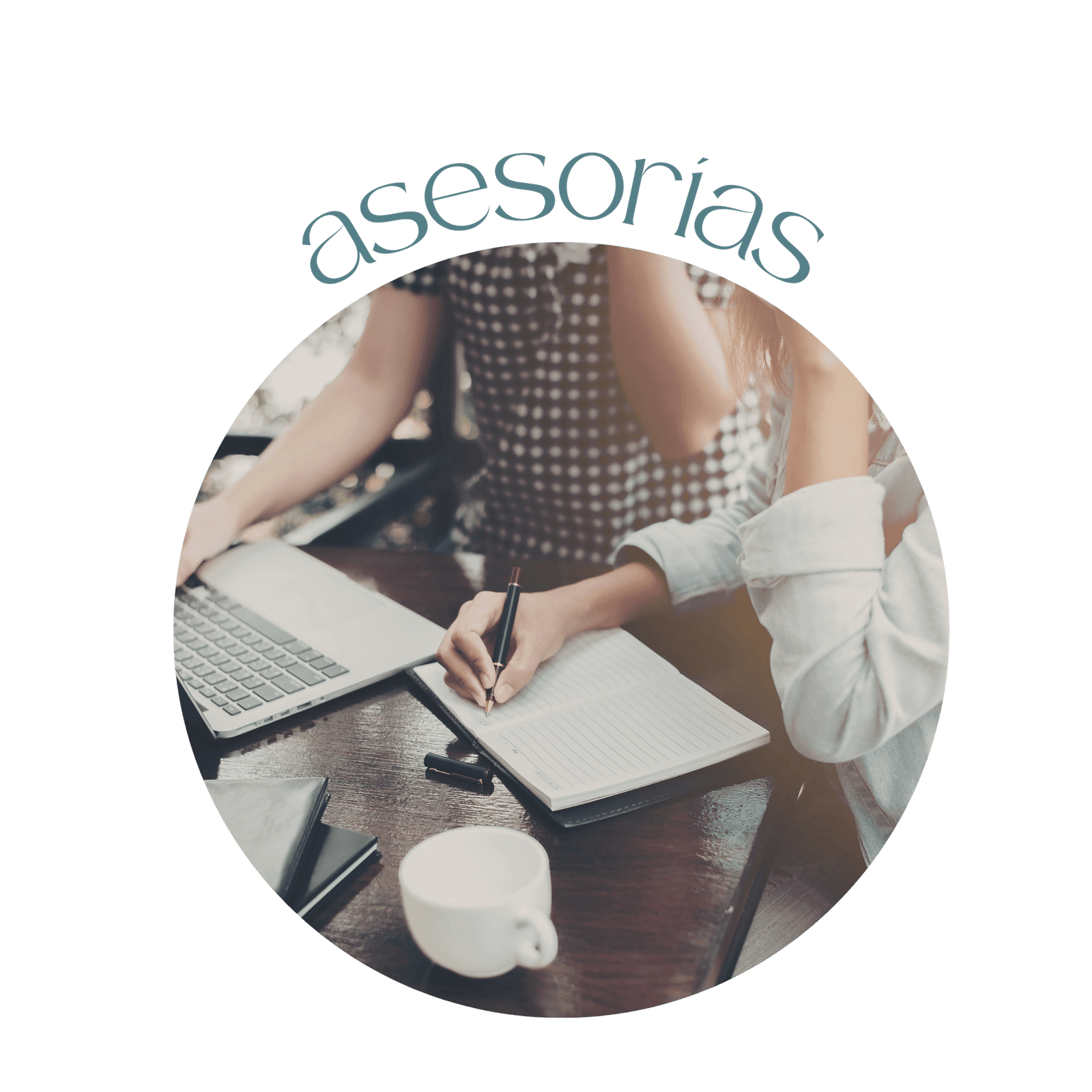 Asesor&iacute;as individuales para profesionales de la educaci&oacute;n