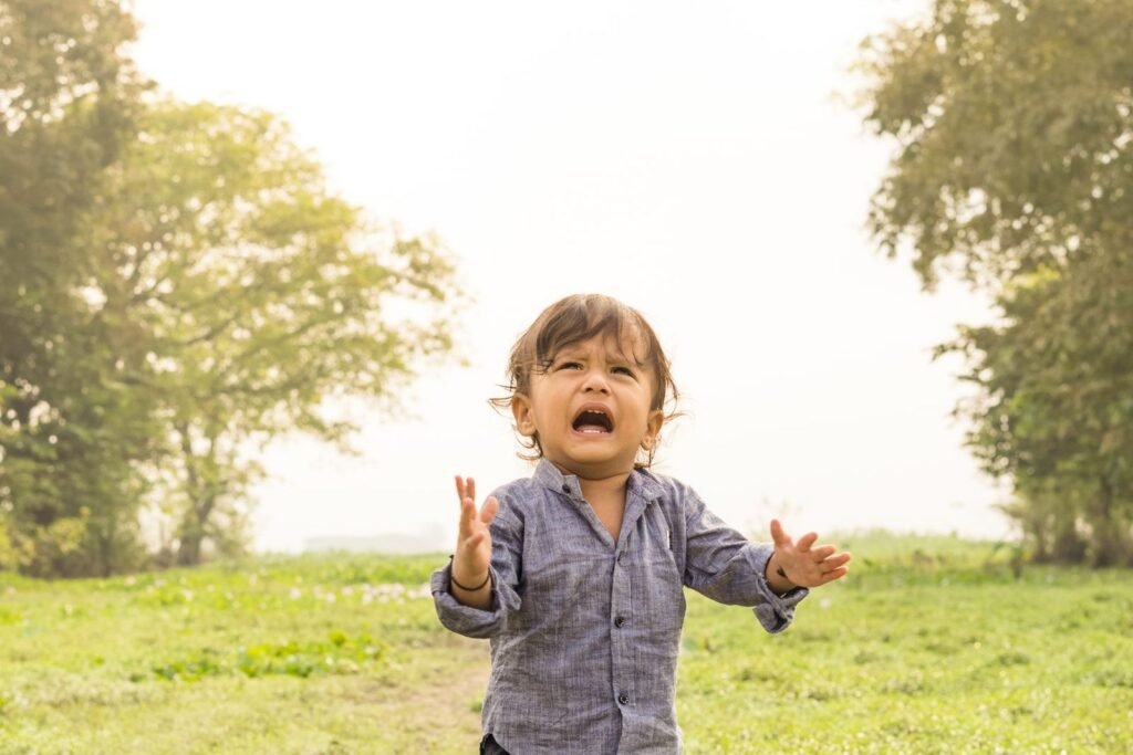 Niño pequeño llorando en plena rabieta en un parque